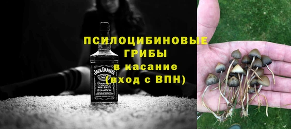 mix Лабытнанги