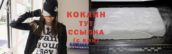 шишки Лагань