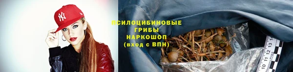mix Лабытнанги