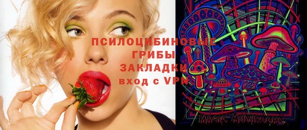 шишки Лагань
