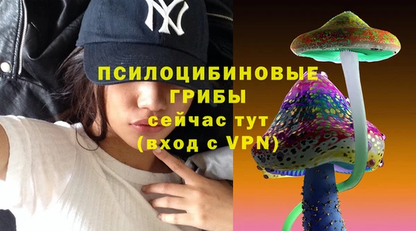 шишки Лагань
