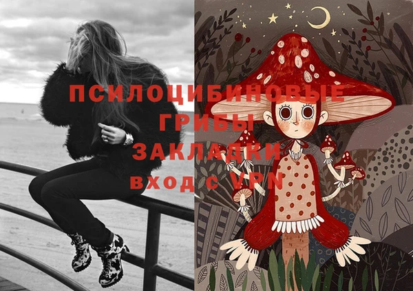 шишки Лагань