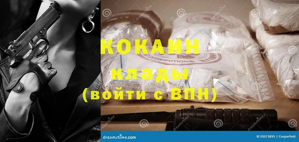 шишки Лагань
