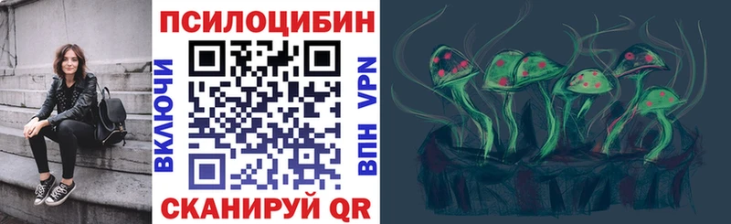 Купить где  Сафоново  Псилоцибиновые грибы GOLDEN TEACHER 